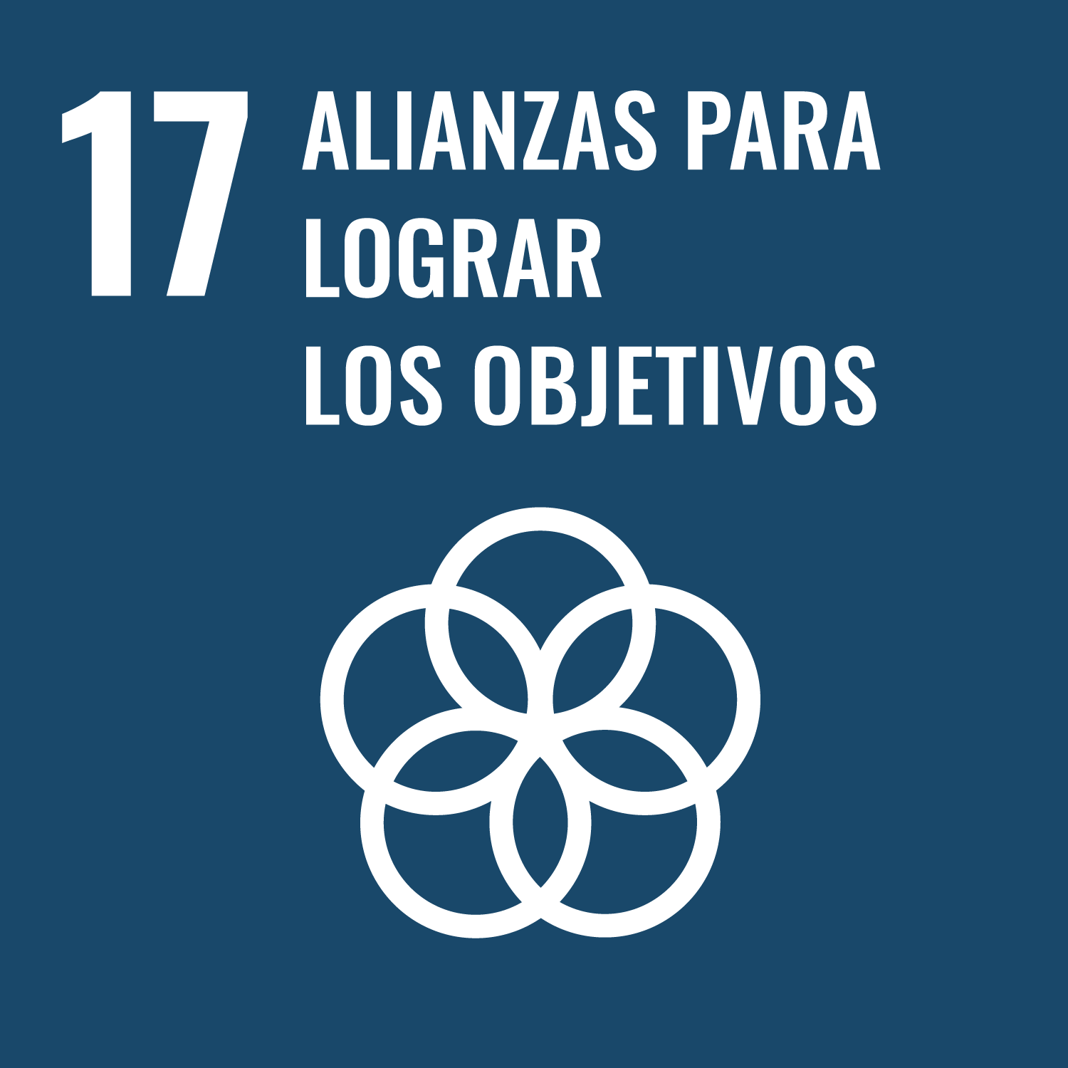 ODS 17: Alianzas para Lograr los Objetivos